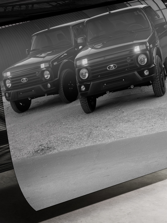 cetkie-cernye-nivy-2-1760971973 Черные Нивы