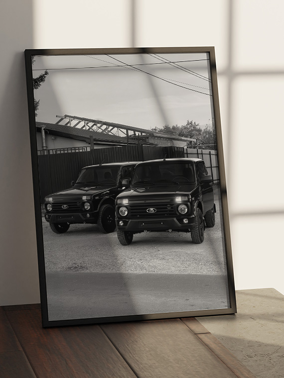 cetkie-cernye-nivy-3-1760971973 Черные Нивы