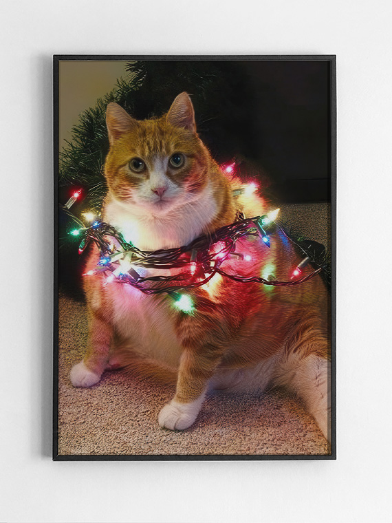 Кот и гирлянда