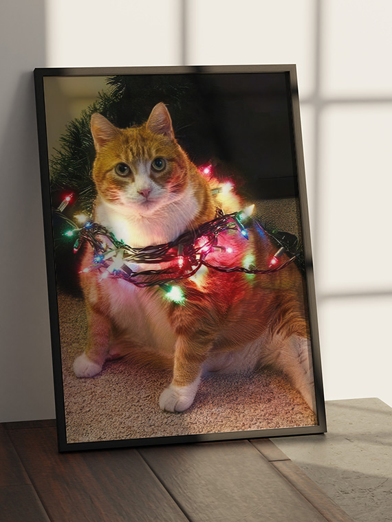 Кот и гирлянда