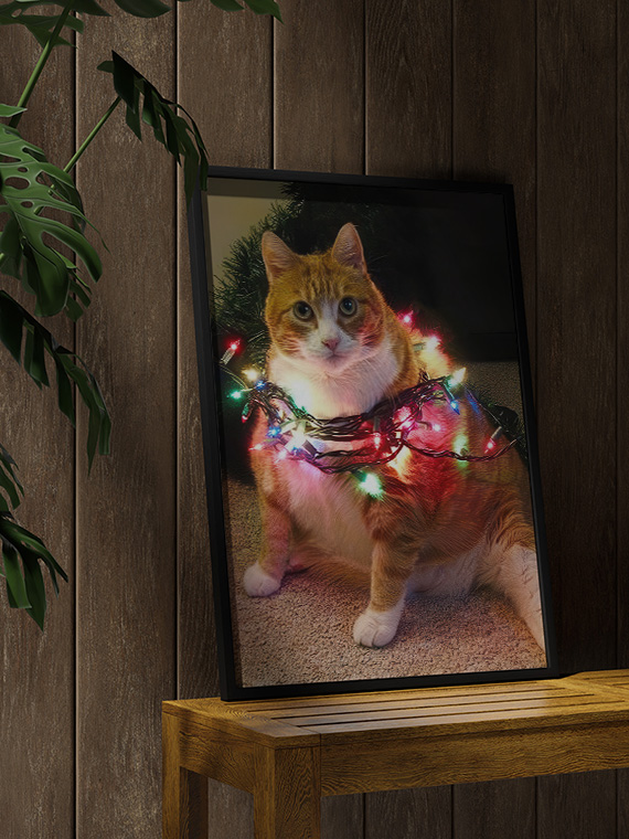 Кот и гирлянда