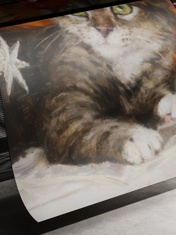 Котик под ёлочкой