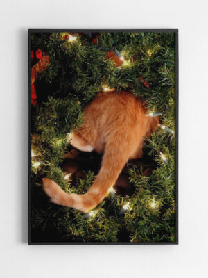 Black,Rectangular,Picture,Frame,On,White,Wall,With,Blank,Paper Новогодняя кошачья попа