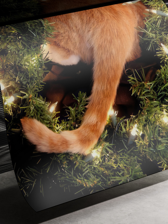 Новогодняя кошачья попа