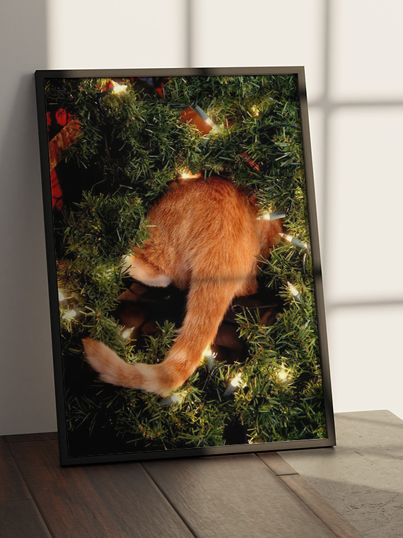 Новогодняя кошачья попа