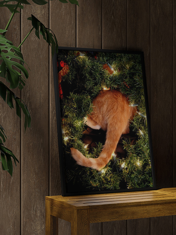 Новогодняя кошачья попа