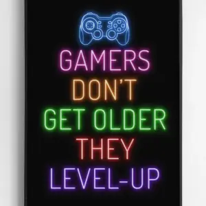 Gamers Don't Get Older They Level-up