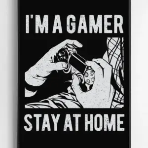 I'm a gamer