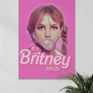It's Britney B*tch