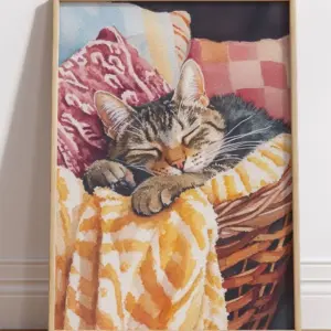 Кот спит в корзинке