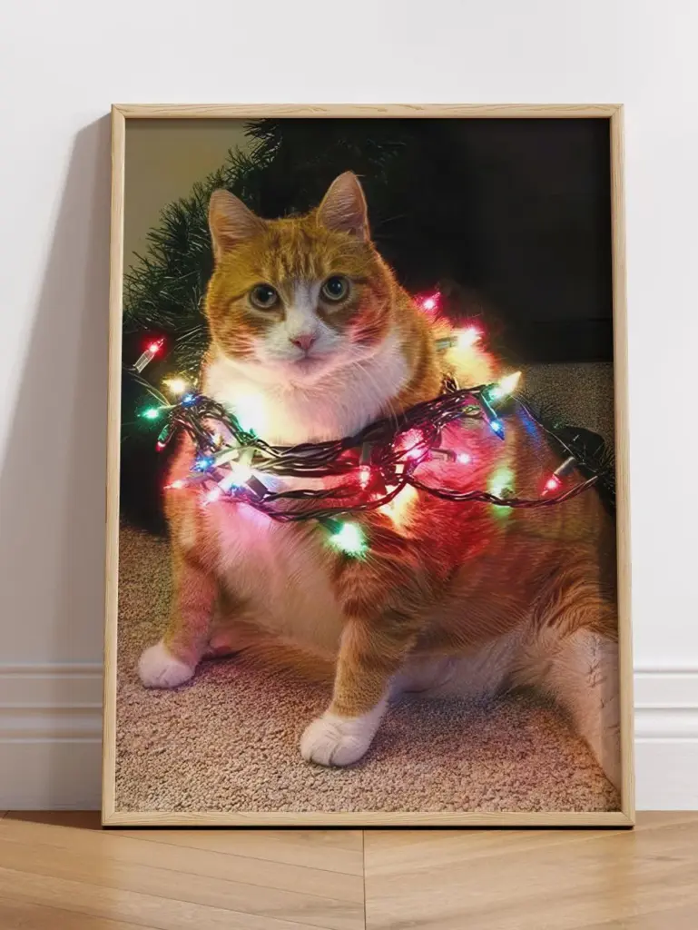 Котик в гирлянде