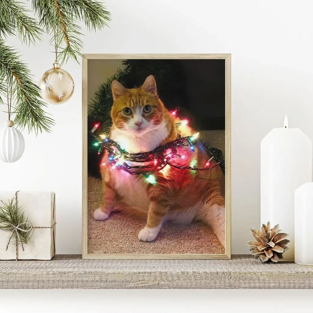 Котик в гирлянде