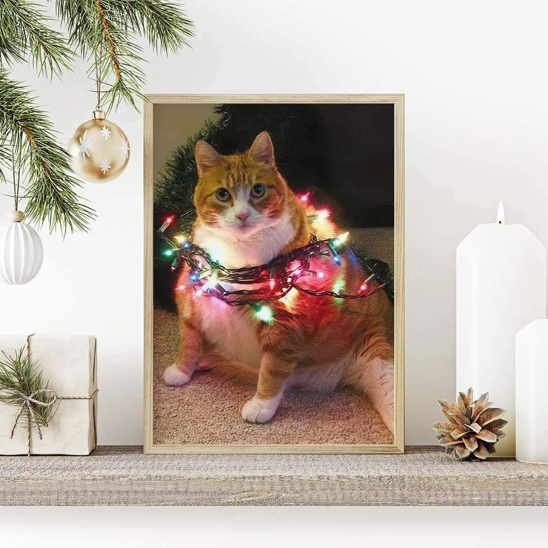 Котик в гирлянде - изображение 4