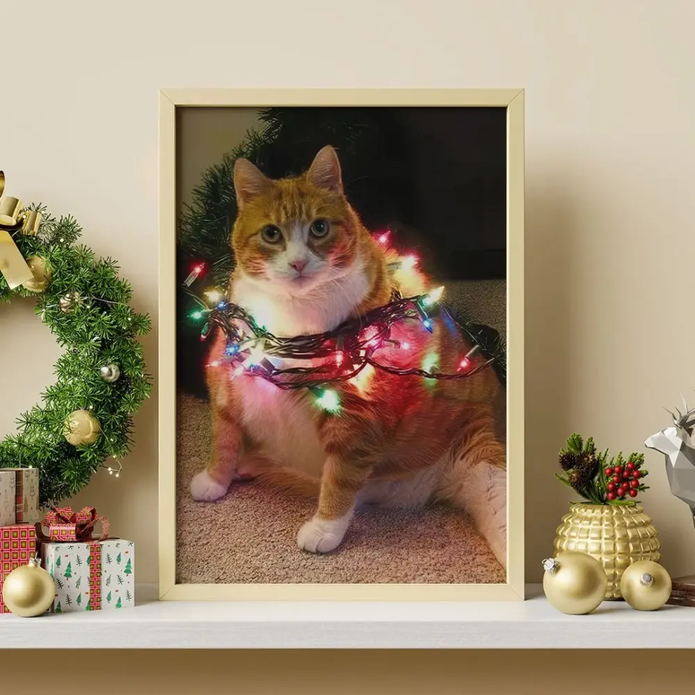Котик в гирлянде - изображение 5