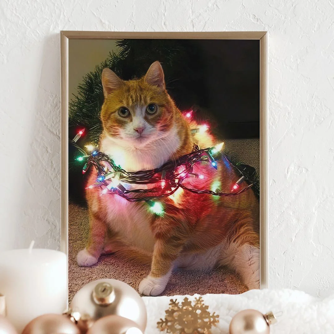 Котик в гирлянде - изображение 6