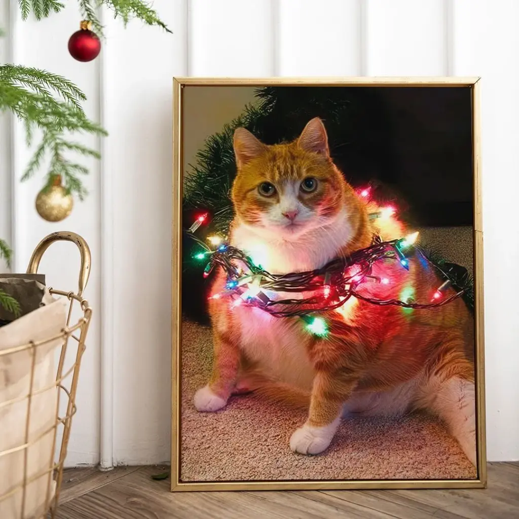 Котик в гирлянде