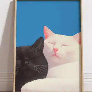 Коты в обнимку