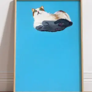 Летающий кот
