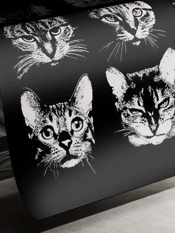 Metallica Meow - изображение 2