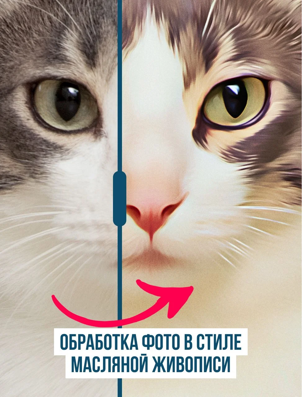 Портрет животного по фото, постер А3 - изображение 6
