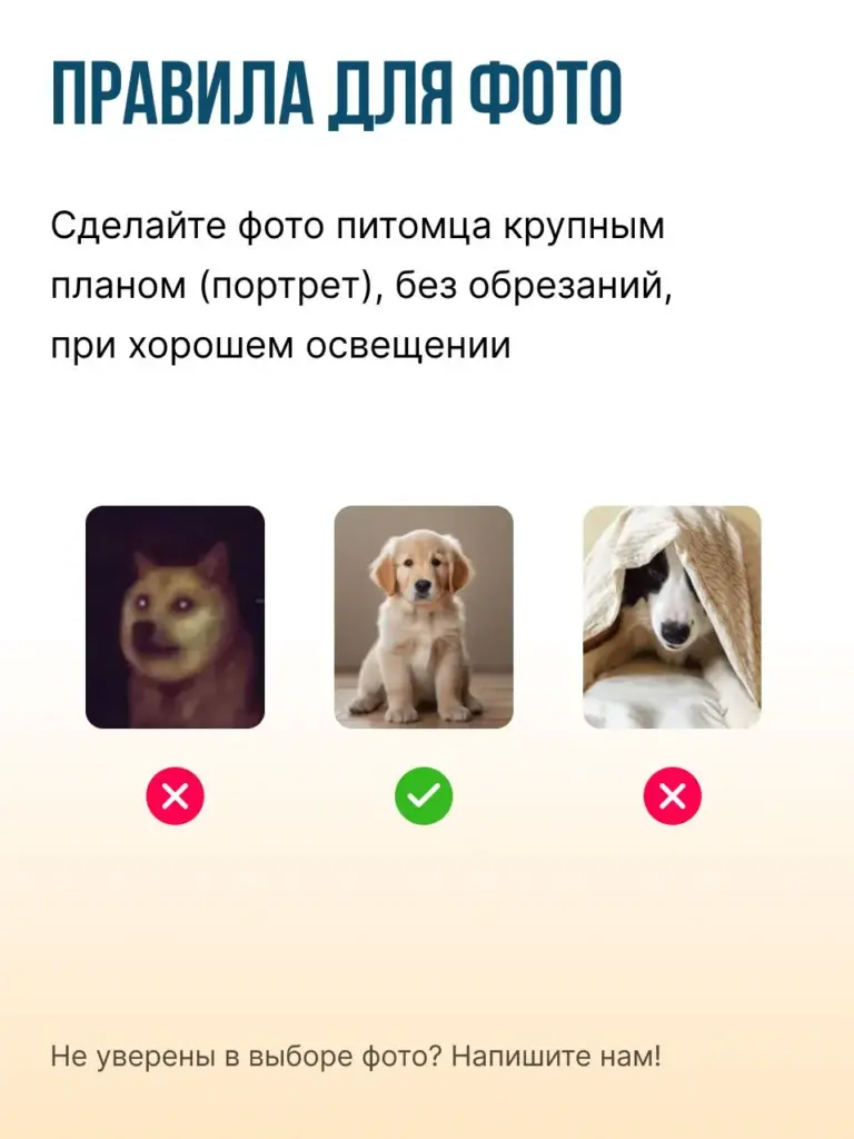 Портрет животного по фото, постер А3