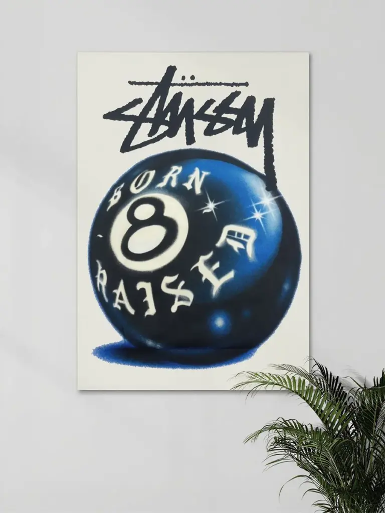 Stussy Born Raised