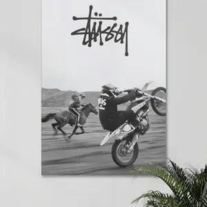 Stussy стиль