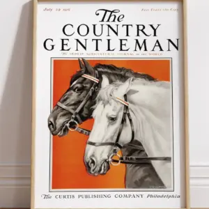 The Country Gentleman