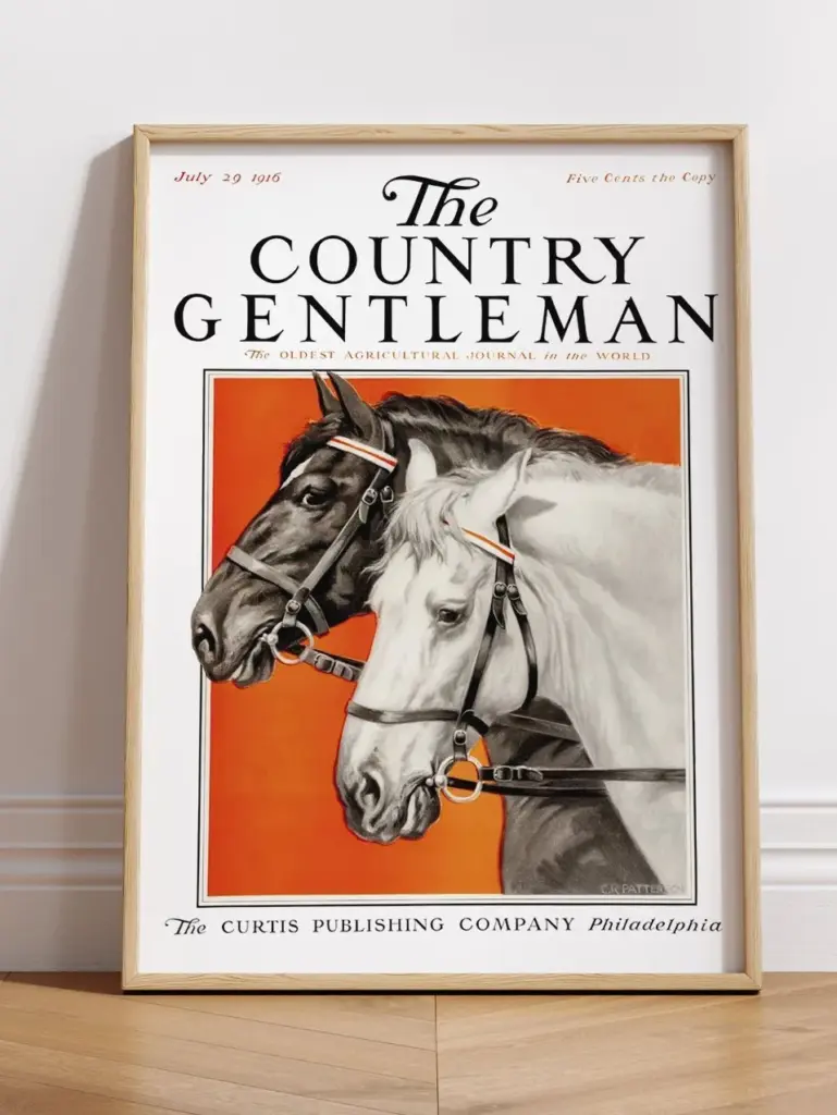The Country Gentleman