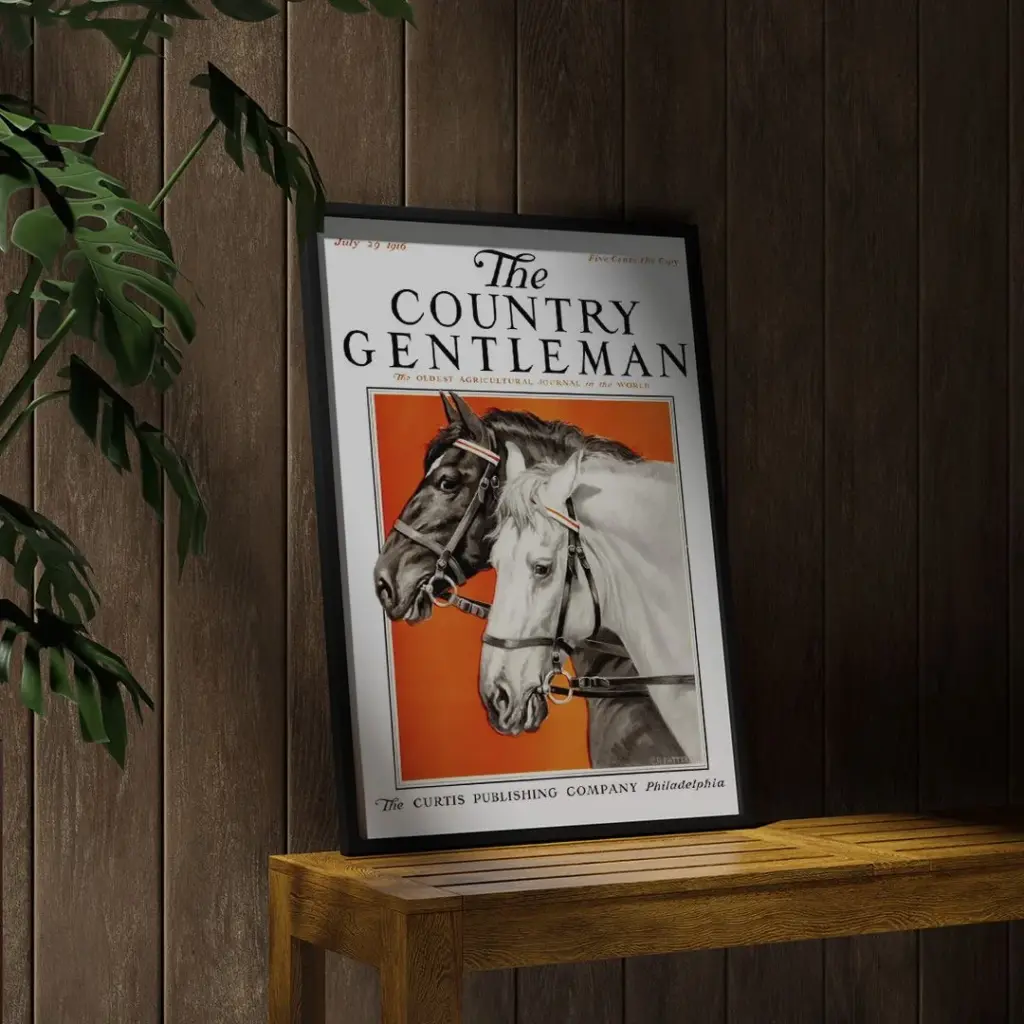 The Country Gentleman