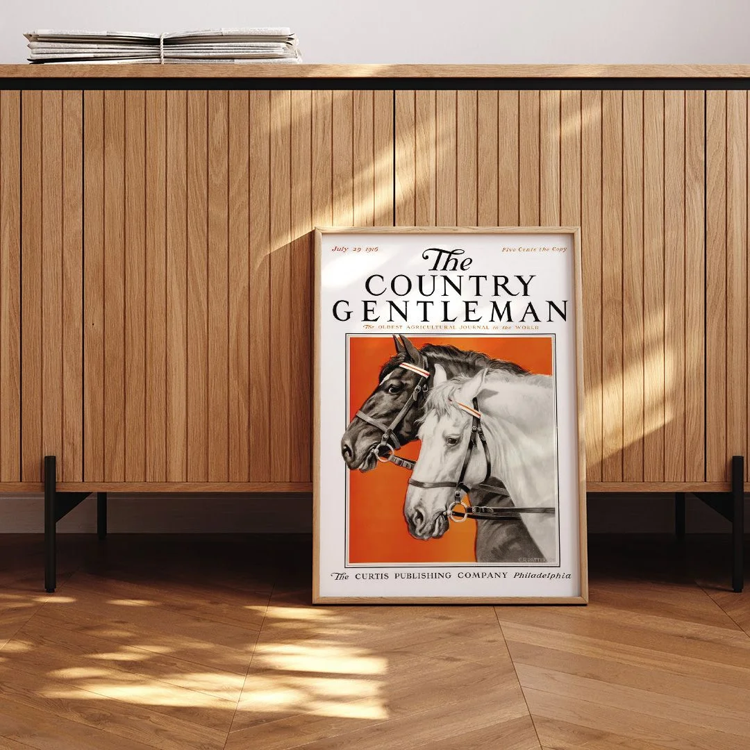 The Country Gentleman - изображение 3