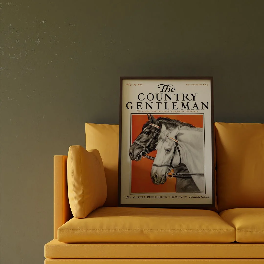 The Country Gentleman - изображение 4