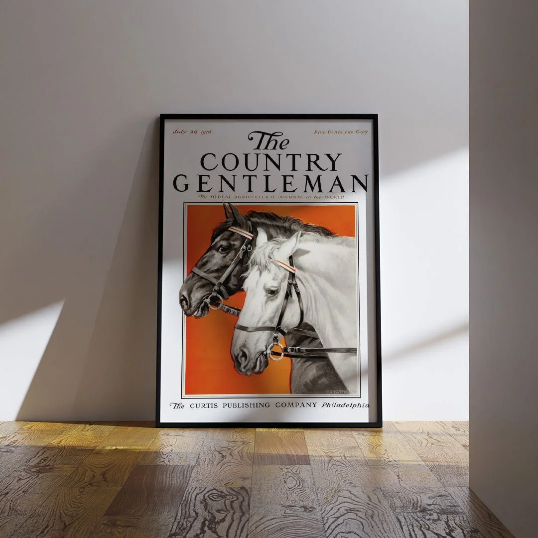 The Country Gentleman - изображение 6