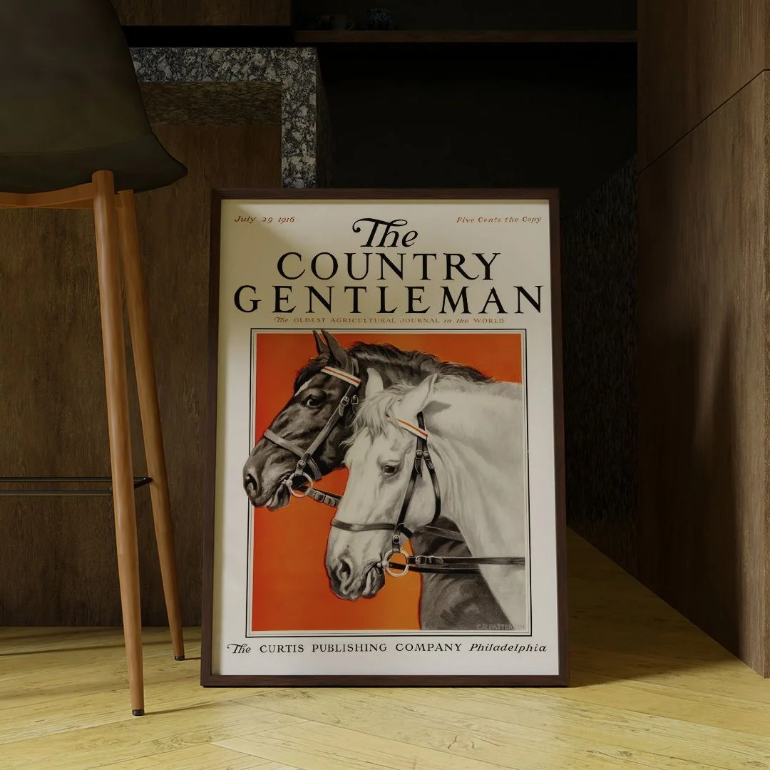 The Country Gentleman - изображение 7