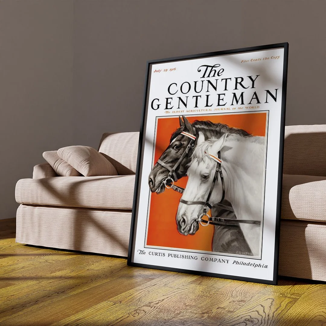 The Country Gentleman - изображение 8