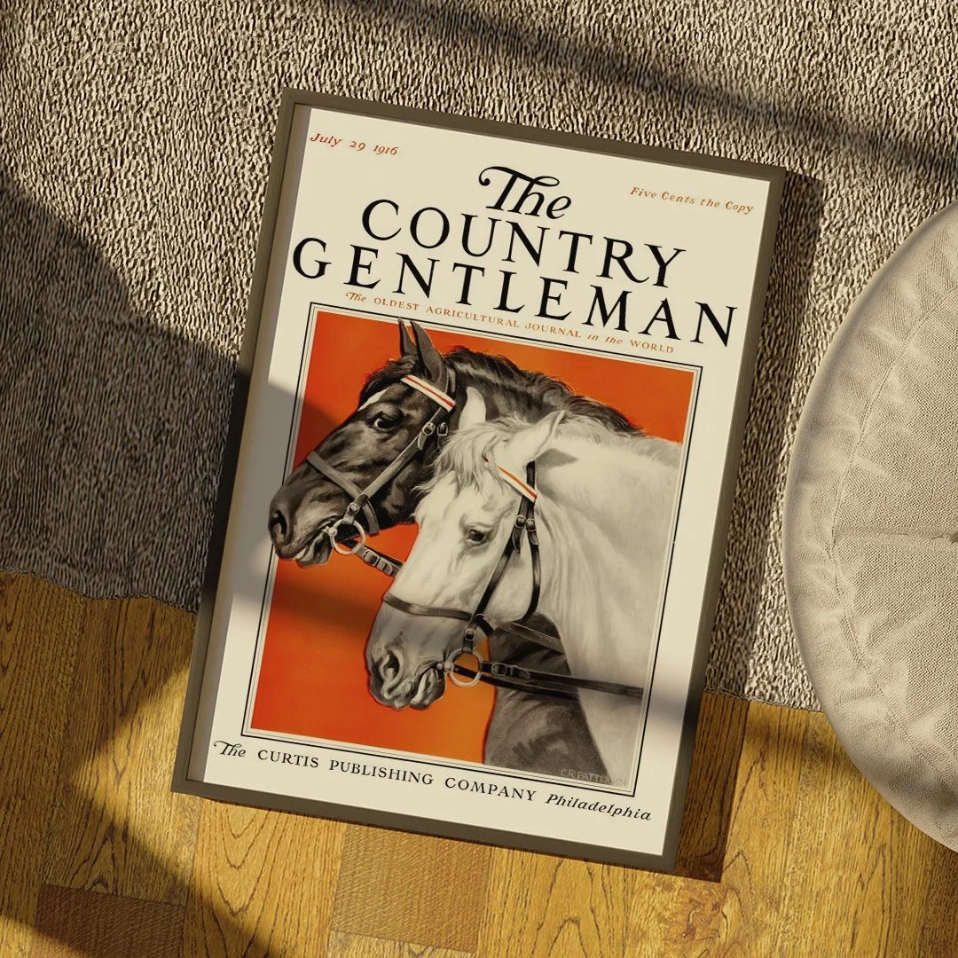 The Country Gentleman - изображение 9